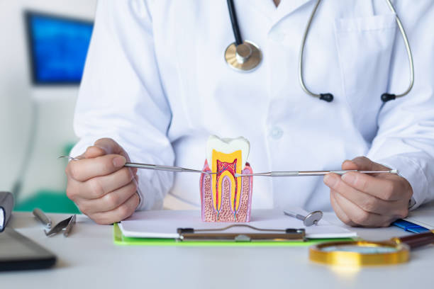Best Weekend Emergency Dentist in Sconsin Dells, WI